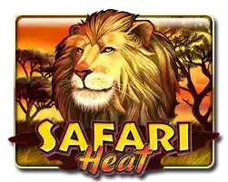 Safari